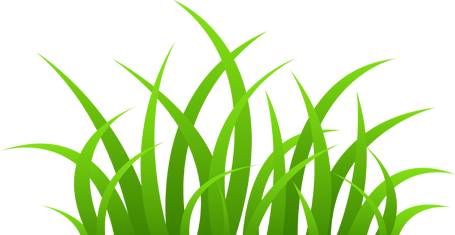 Call A Turf Expert