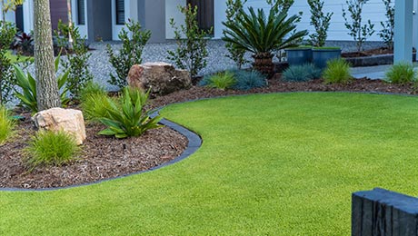Buy TifTuf Turf