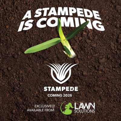 Stampede Turf Supplier in Taree NSW