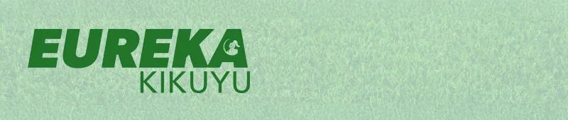 Purchase Eureka Kikuyu Turf in Taree New South Wales