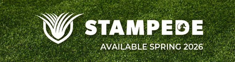 Stampede Buffalo Turf for Sale in Taree
