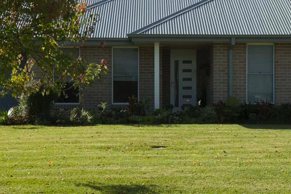 Eureka Kikuyu Premium Turf in Taree