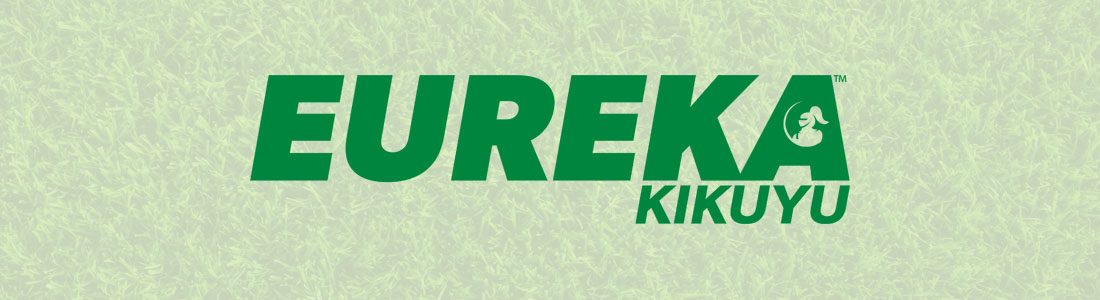 Eureka Kikuyu Turf for sale in Forster, Taree, Old Bar and Port Macquarie NSW