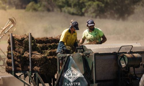 2026-earls-turf-supplies-photo-12